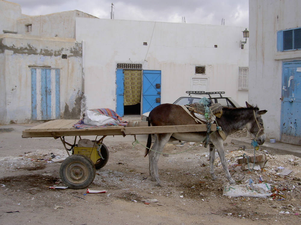 tunisie en attendant