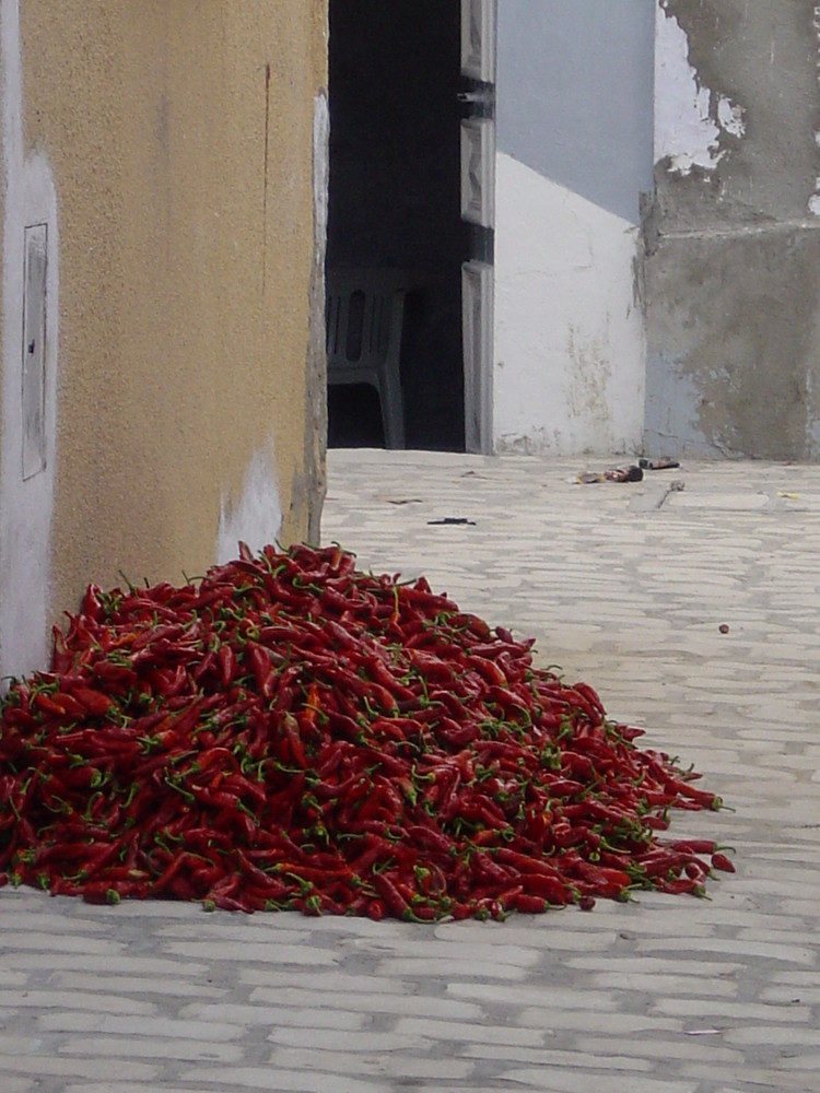 tunisie