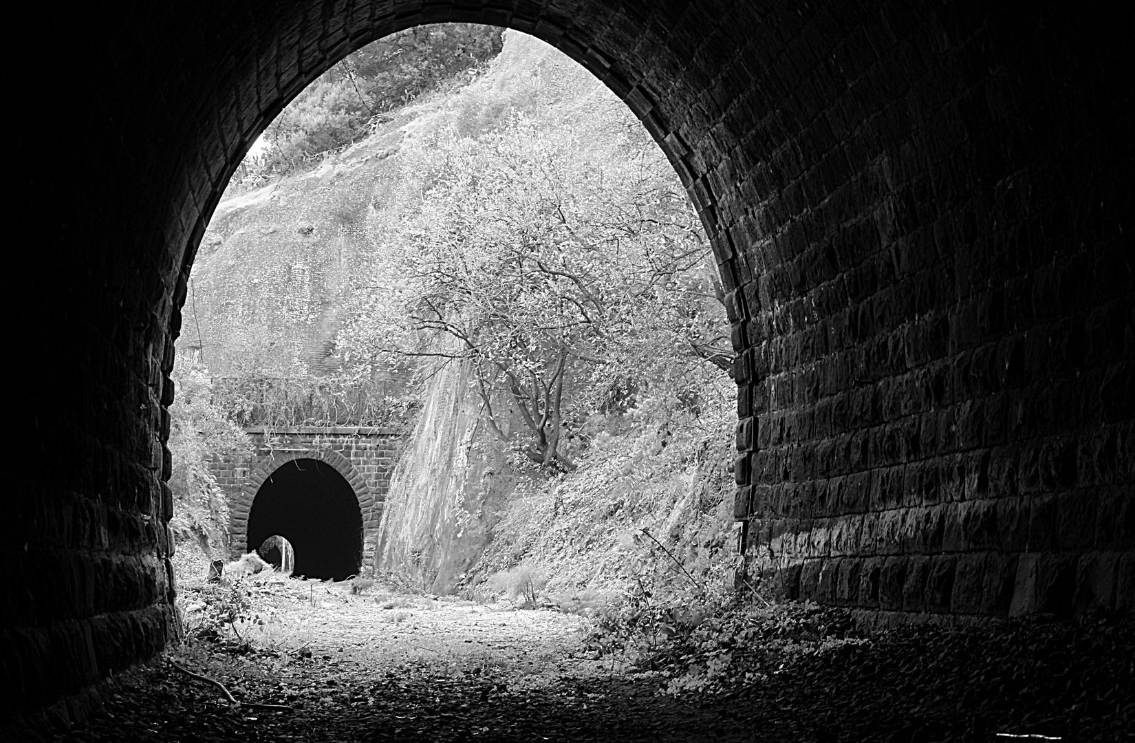 tunnel