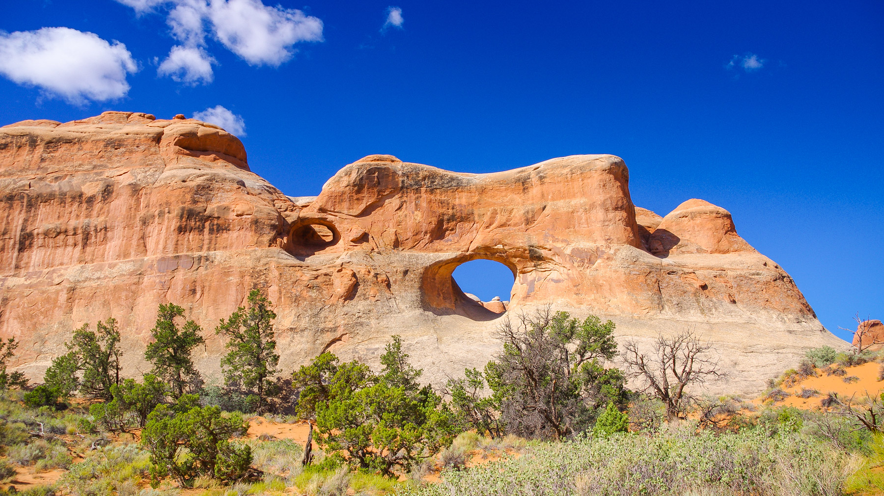 Tunnel-Arch