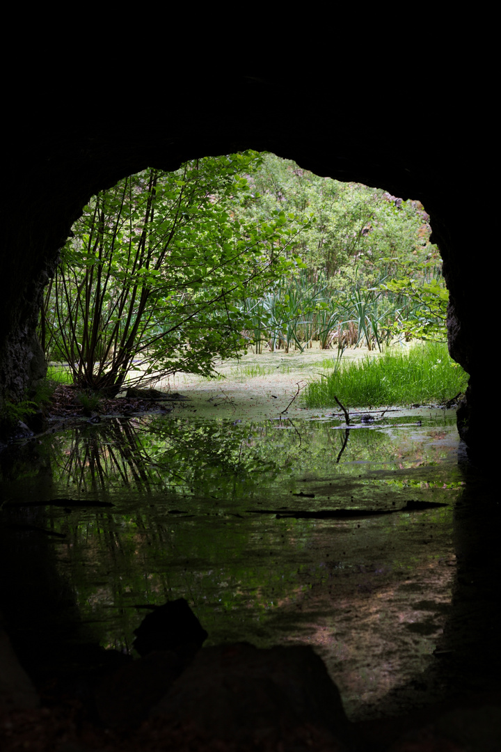 Tunnel-Biotop