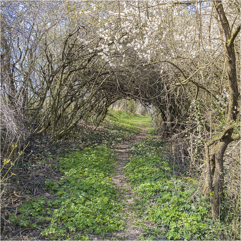 Tunnel | Blick