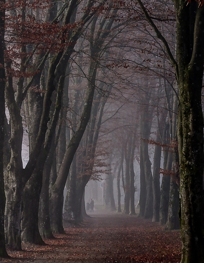 Tunnel-Blick