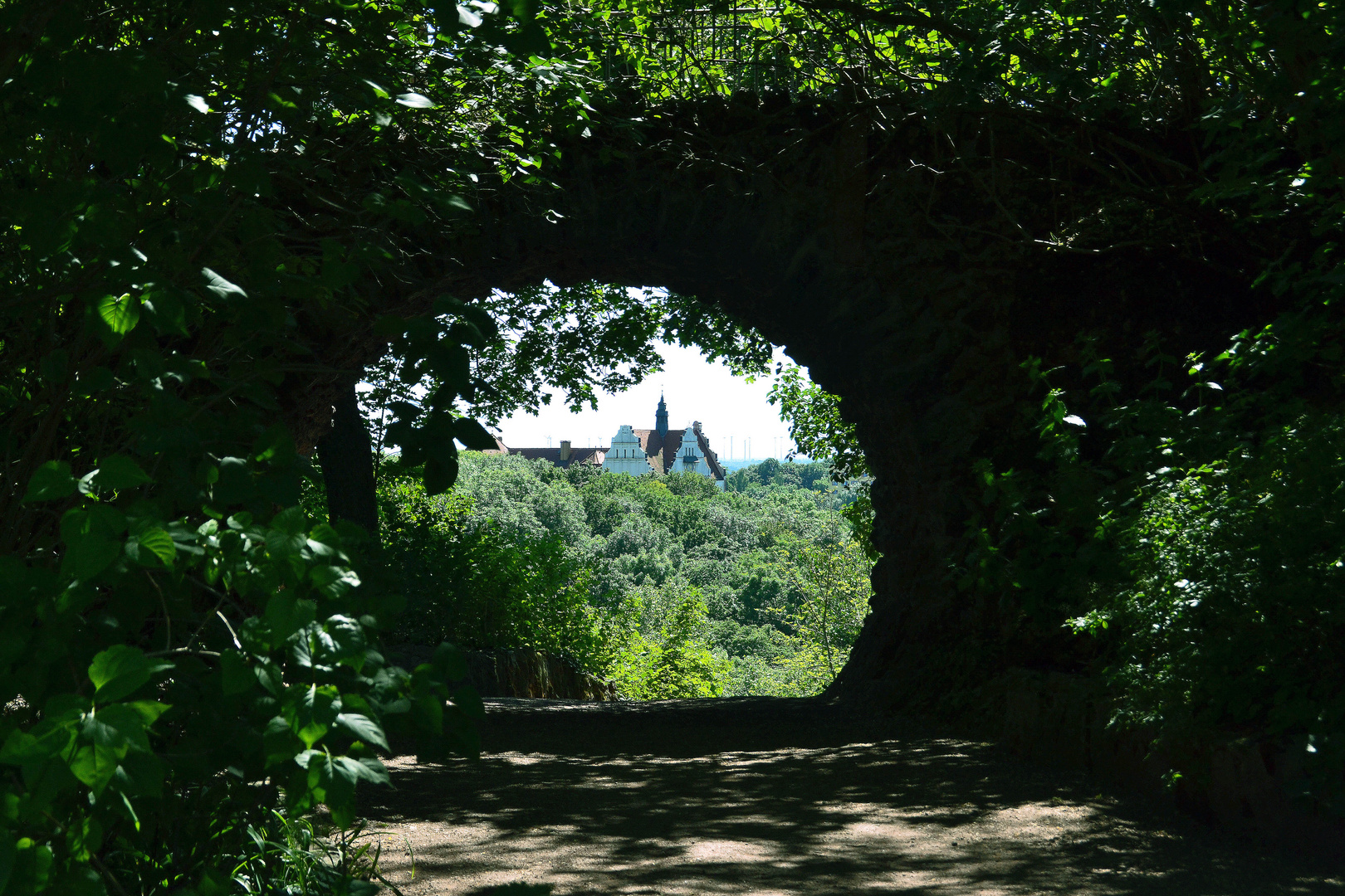 Tunnel-Blick ?!