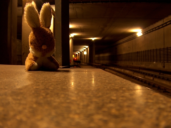 tunnel bunny