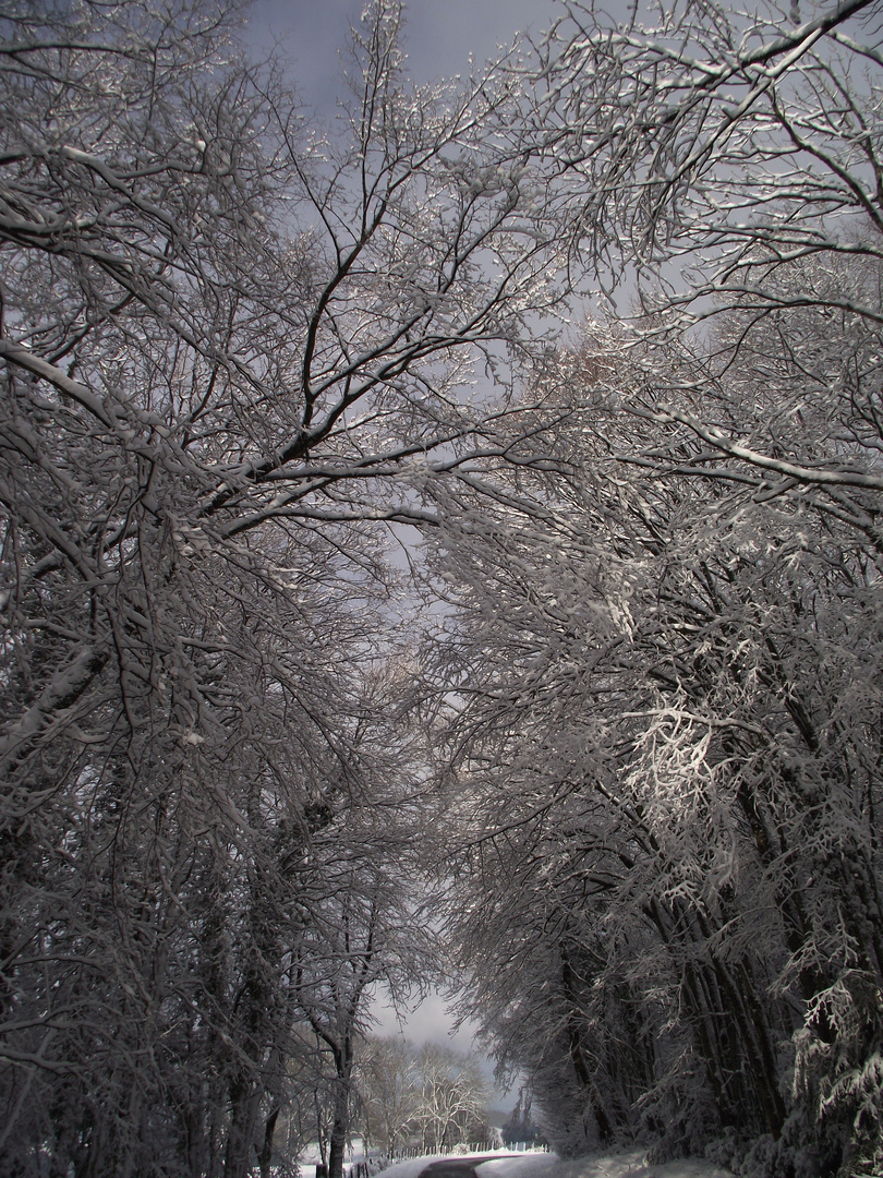 TUNNEL DE NEIGE