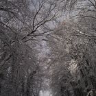 TUNNEL DE NEIGE