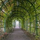 Tunnel de verdure