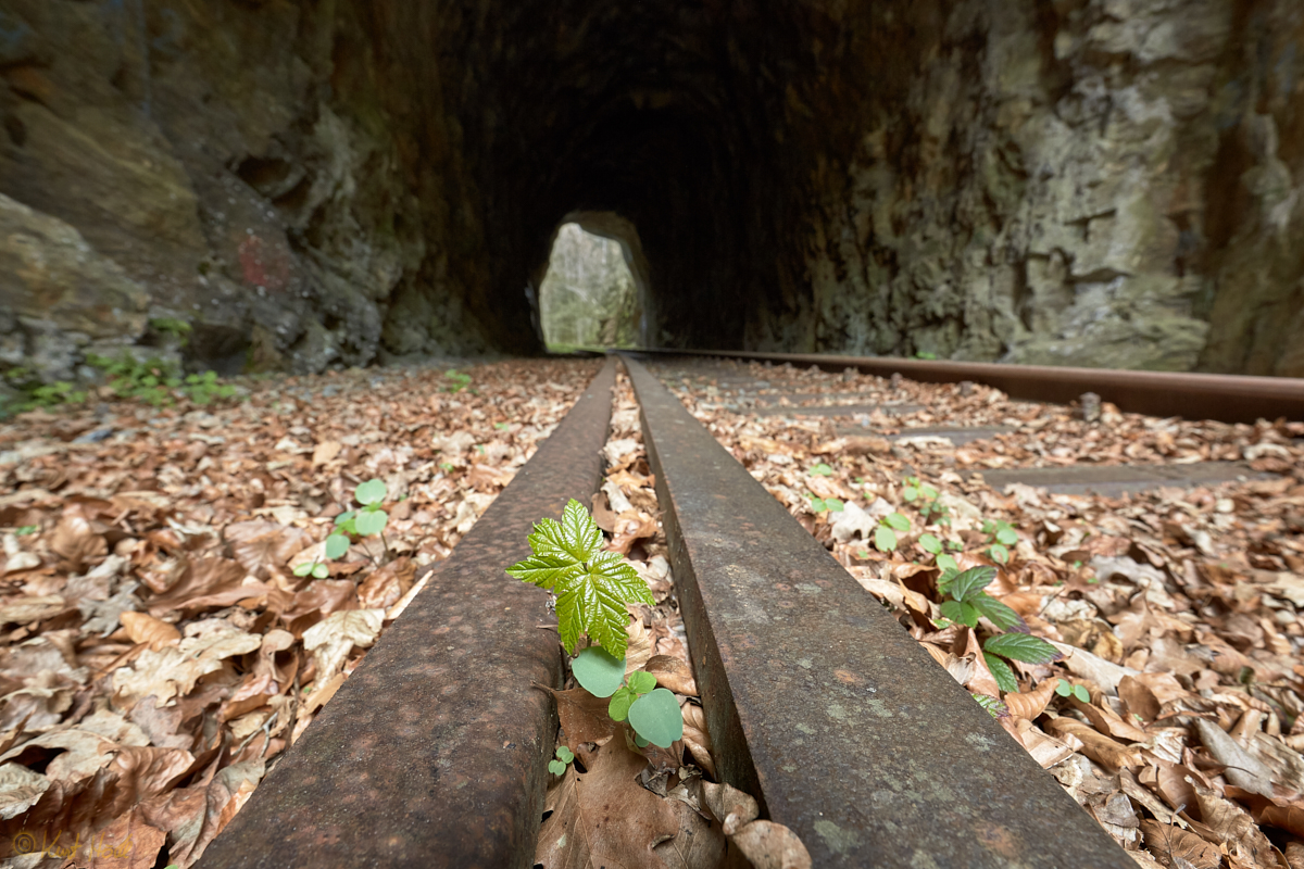 Tunnel eines alten Bahngleises.