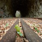 Tunnel eines alten Bahngleises.