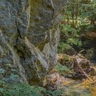 Tunnel für Wasserscheue