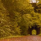 Tunnel im Grünen