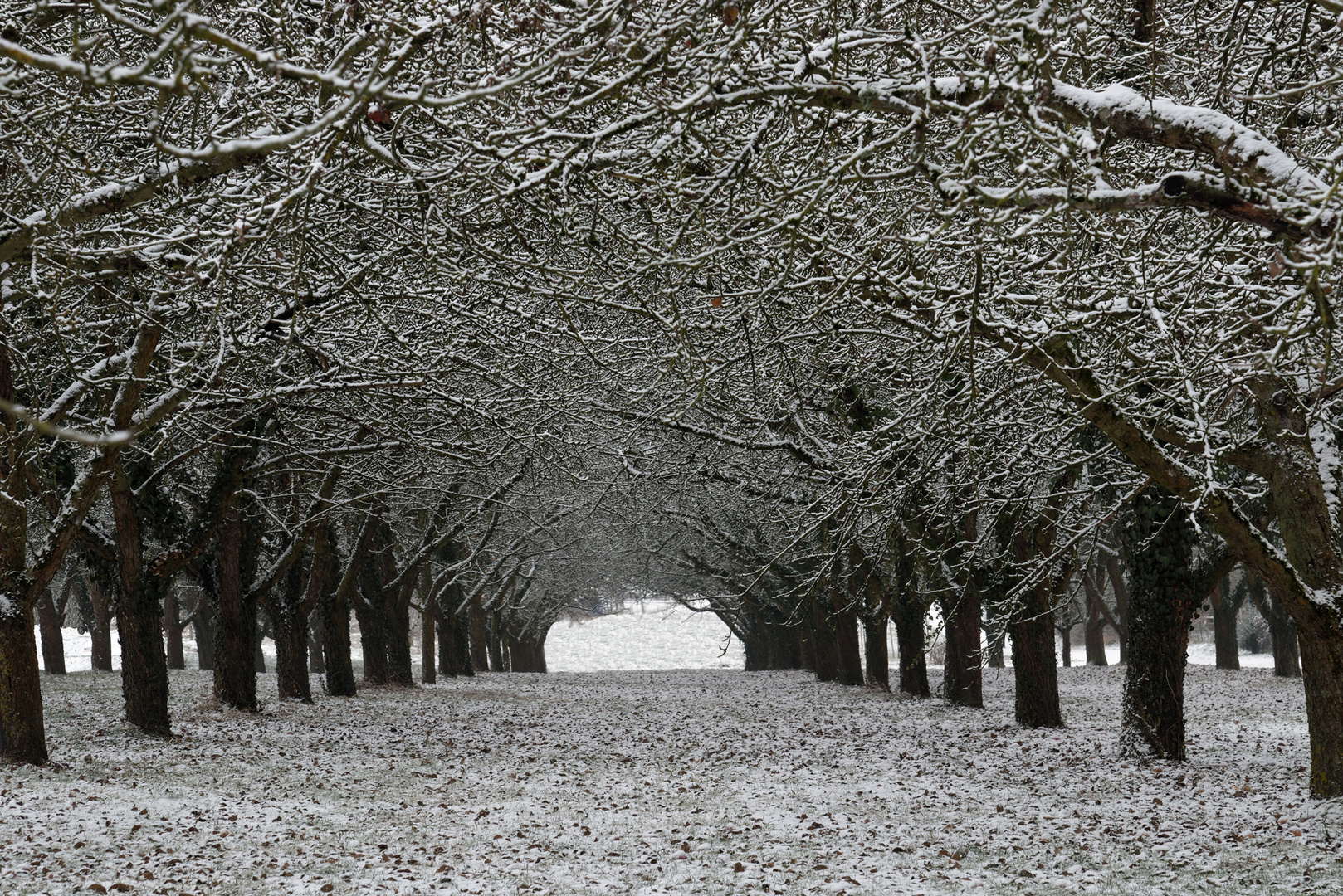 Tunnel im Winter