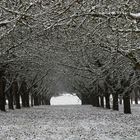 Tunnel im Winter