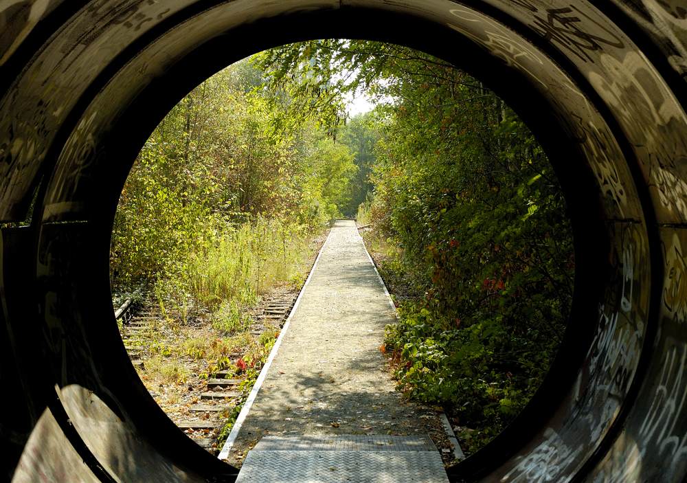 Tunnel ins Grün