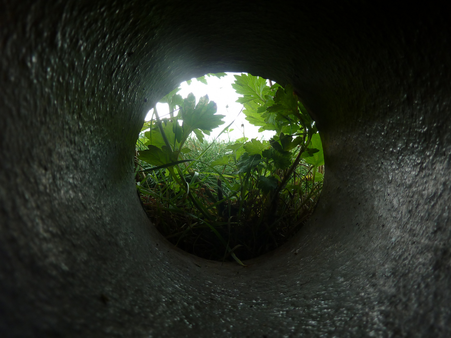 Tunnel ins Licht