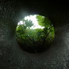 Tunnel ins Licht