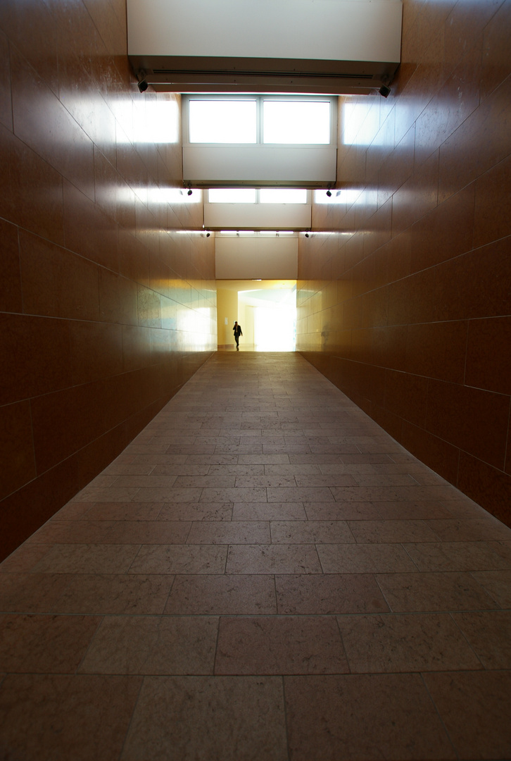 tunnel metropolitano