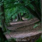 Tunnel of green love