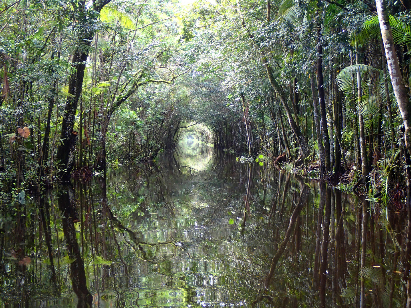 tunnel vert