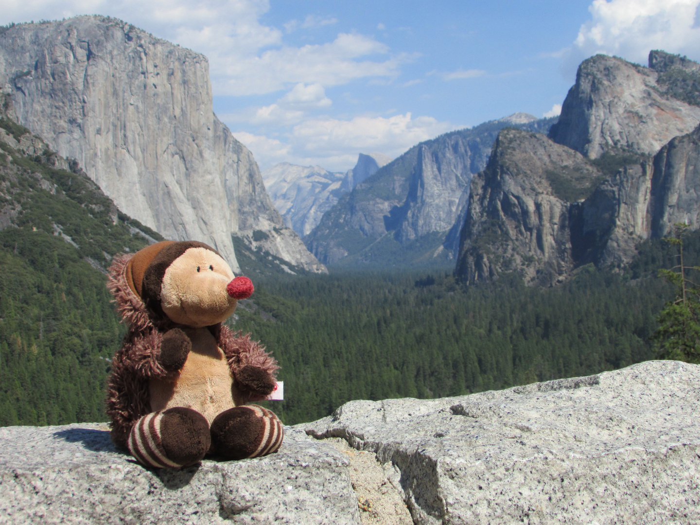 Tunnel View