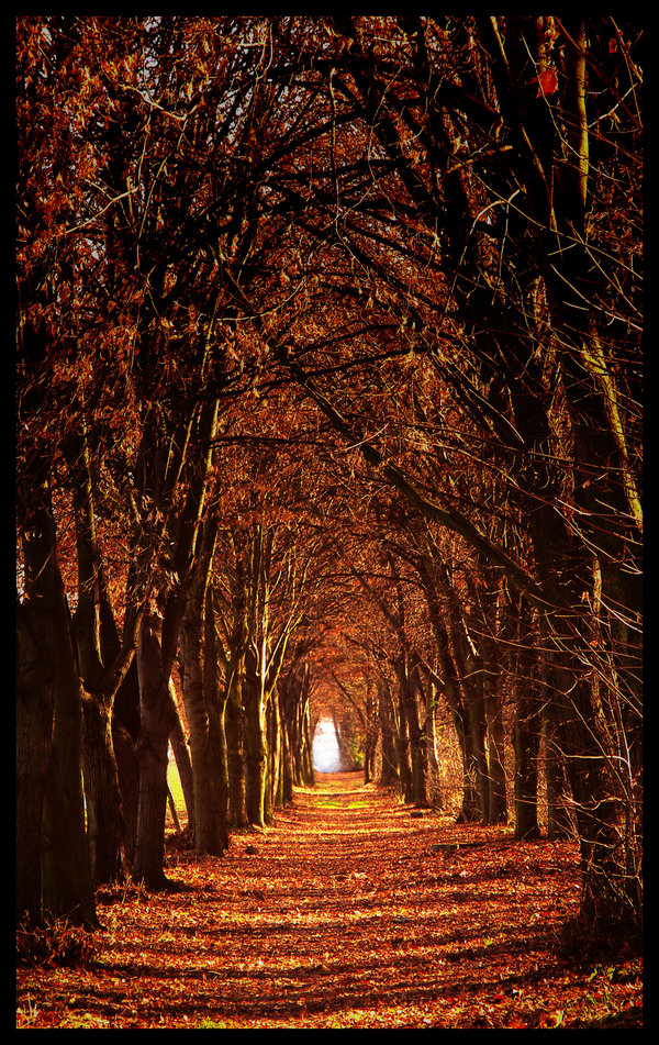 Tunnel von ewig