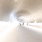 Tunnel zum Miho-Museum