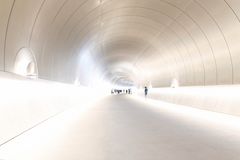 Tunnel zum Miho-Museum