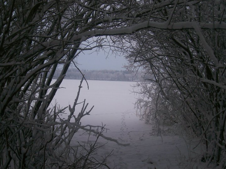 tunnel zum see