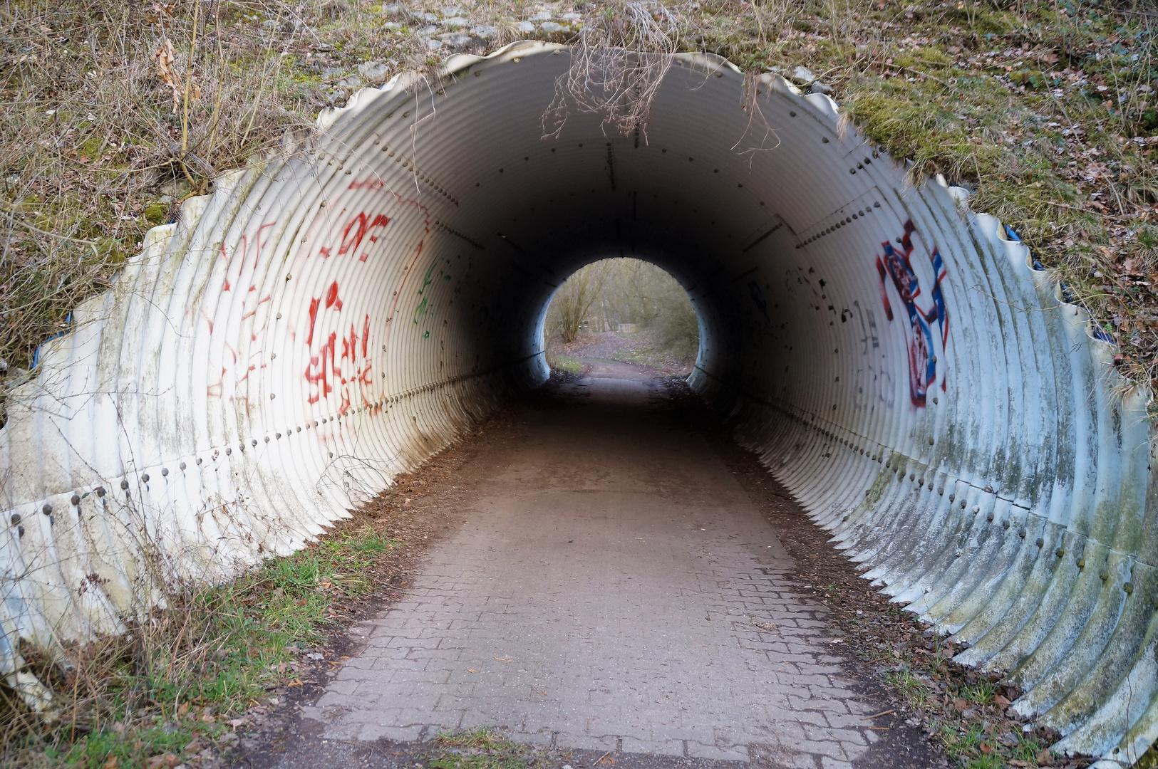 Tunnel zum See