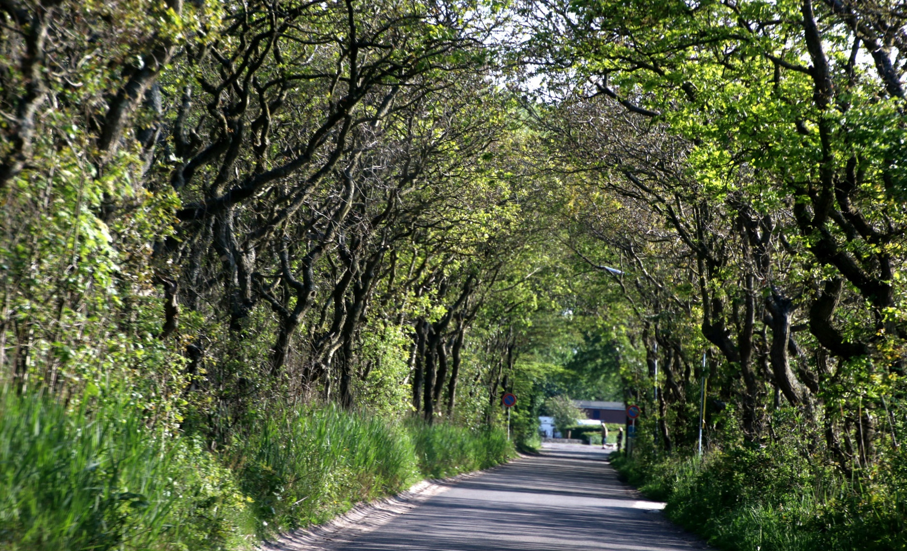 Tunnelallee