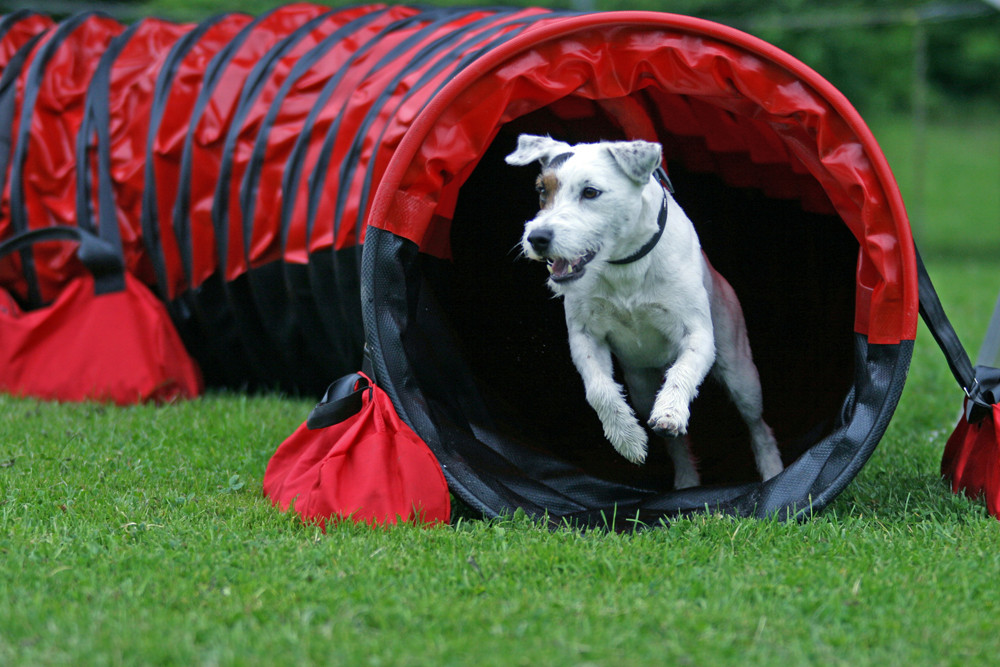 Tunnelausgang