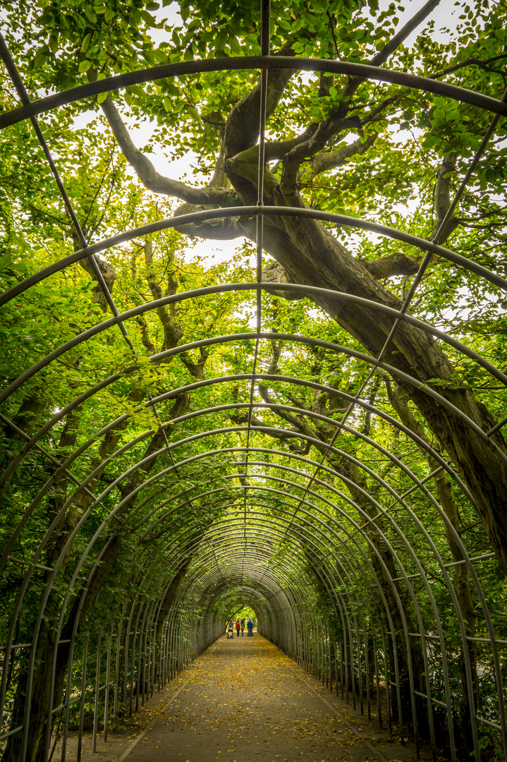 Tunnelbilck