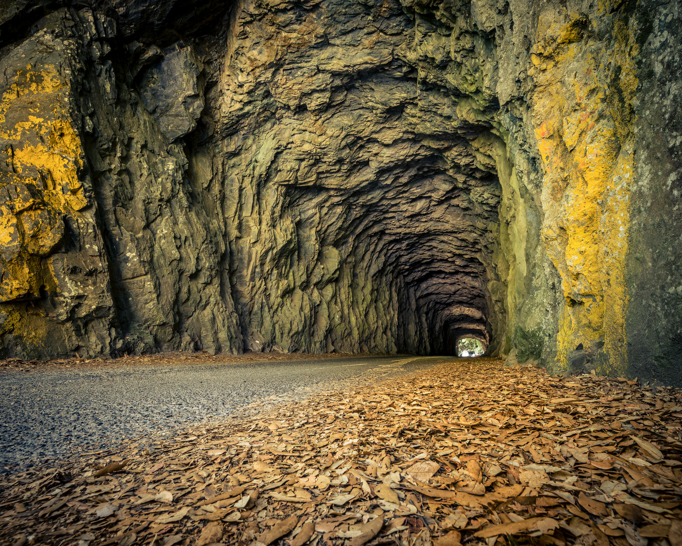 Tunnelblick.