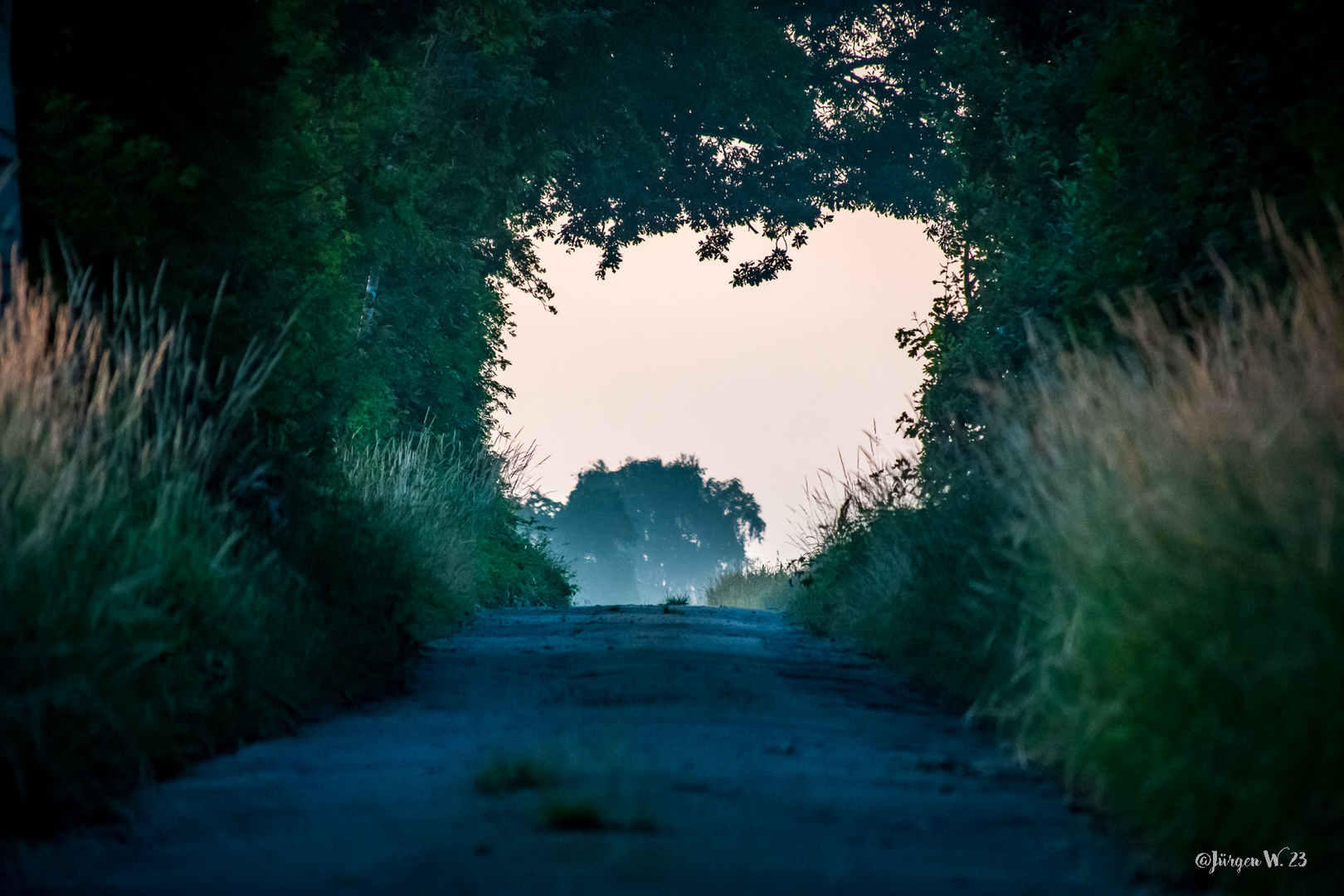 Tunnelblick