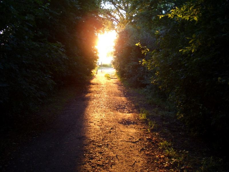 Tunnelblick