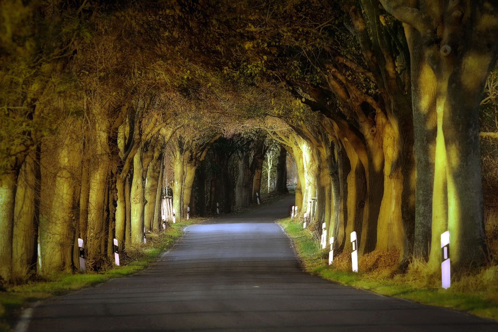 Tunnelblick Tunnelblick