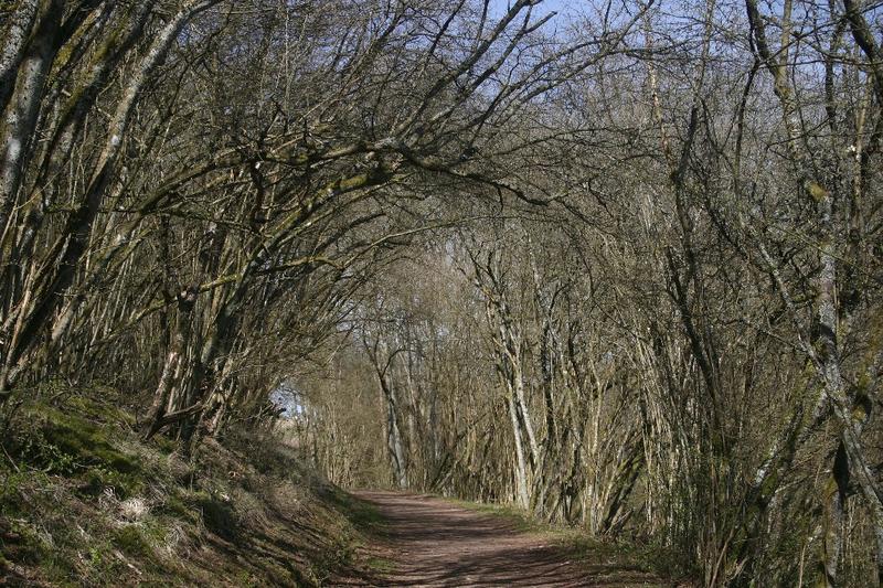 Tunnelblick