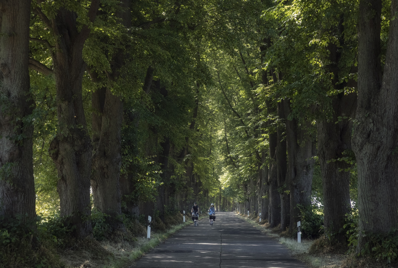 Tunnelblick ...