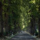 Tunnelblick ...