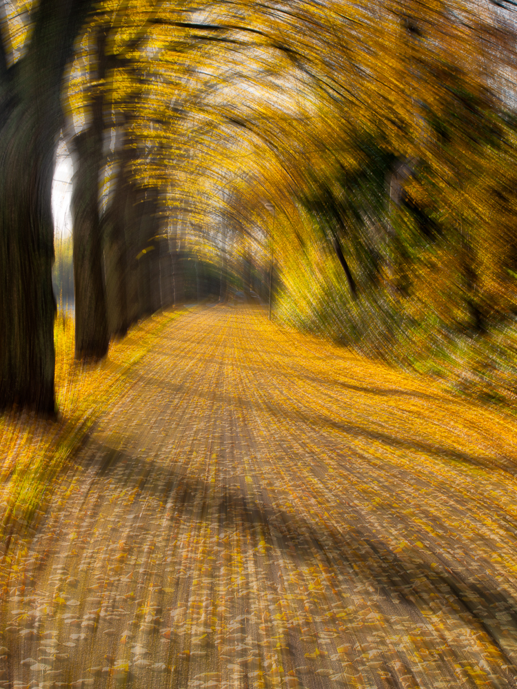 Tunnelblick