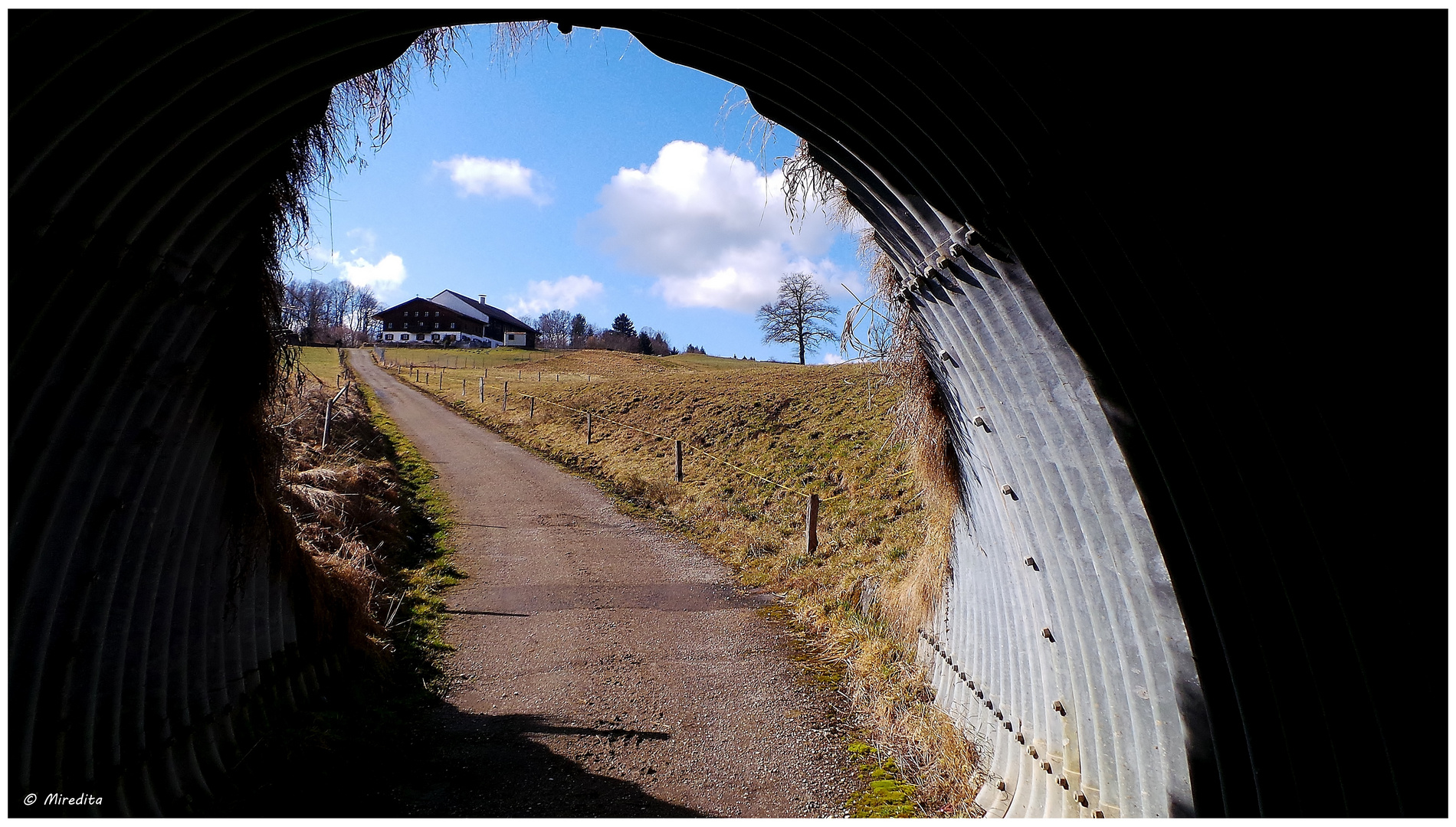 Tunnelblick