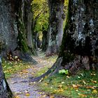 Tunnelblick