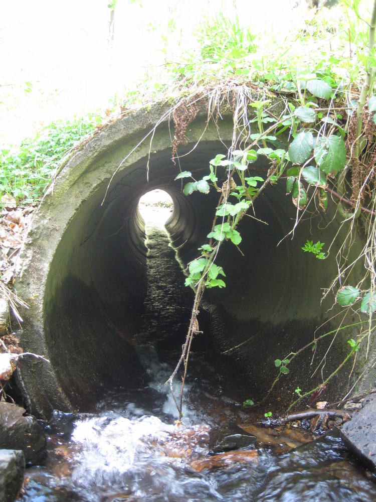 Tunnelblick