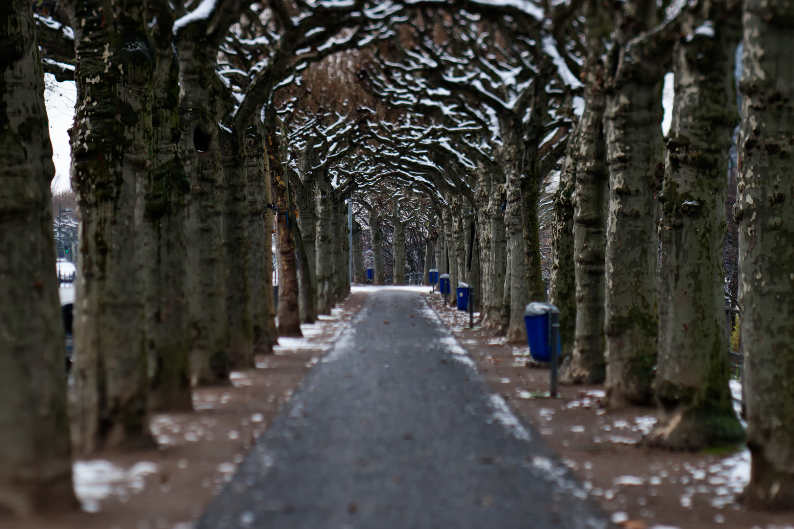 Tunnelblick