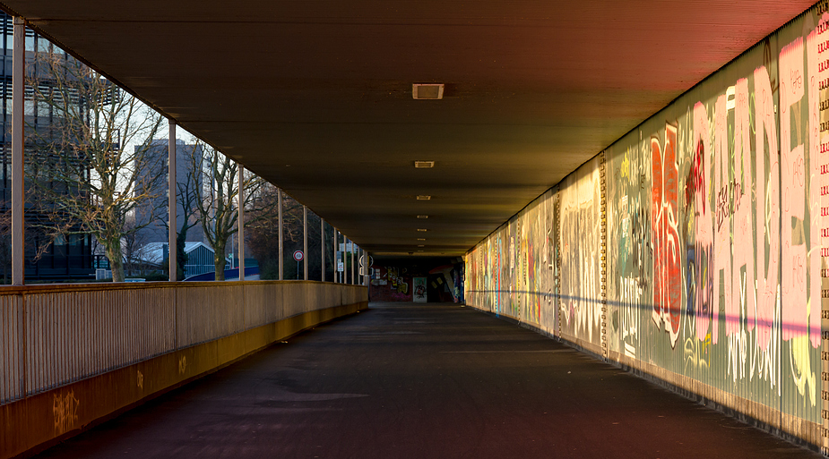 Tunnelblick