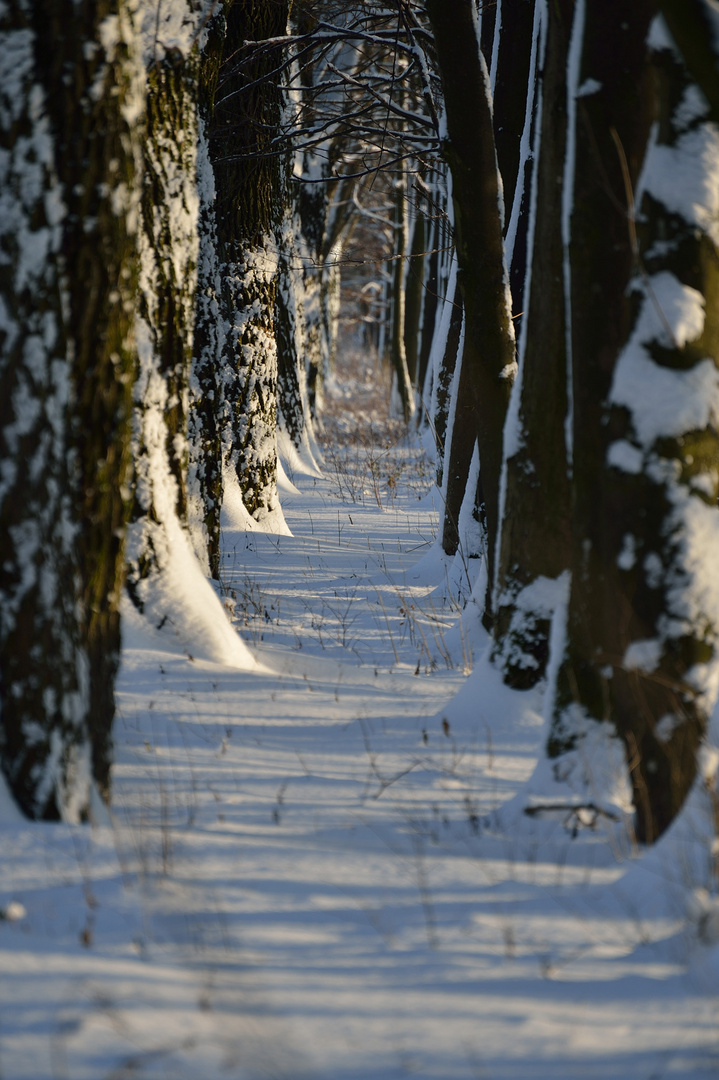 Tunnelblick