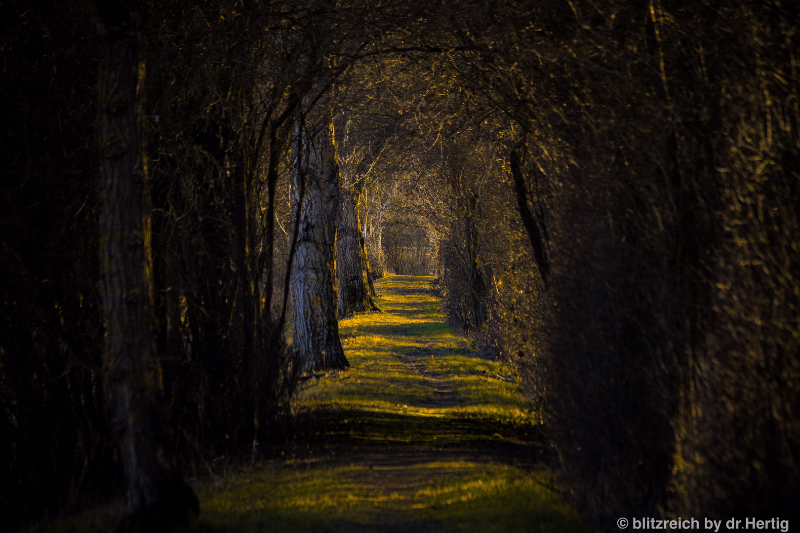 Tunnelblick 