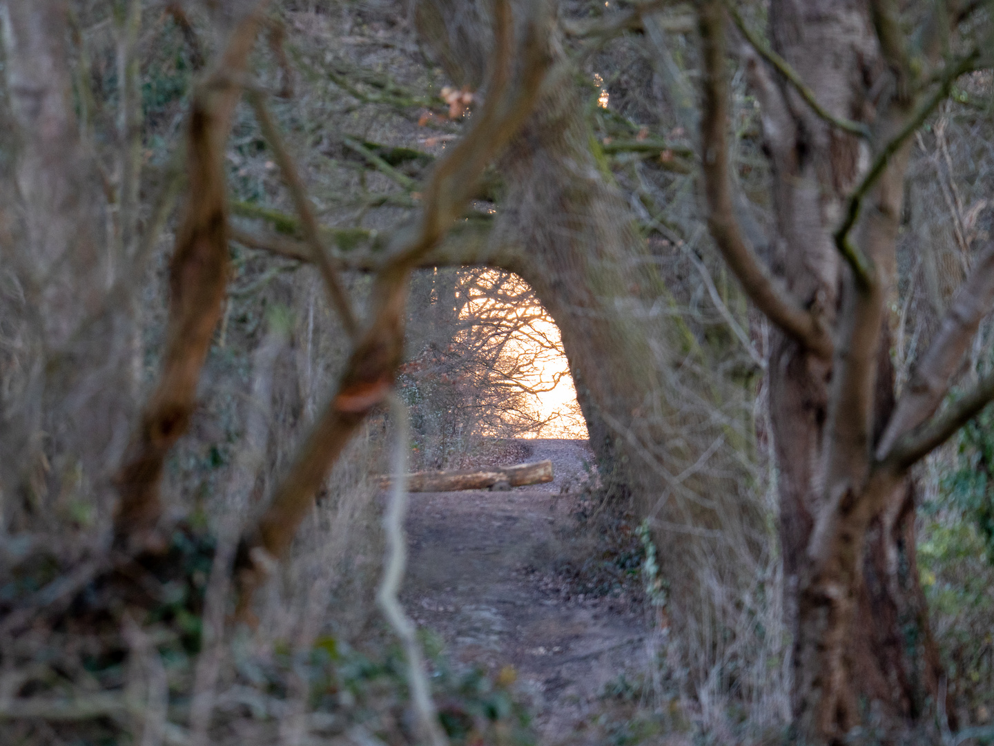 Tunnelblick