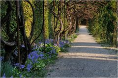 Tunnelblick